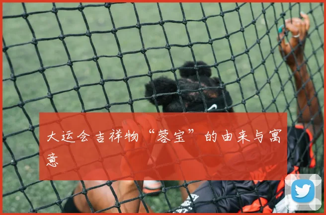 大运会吉祥物“蓉宝”的由来与寓意