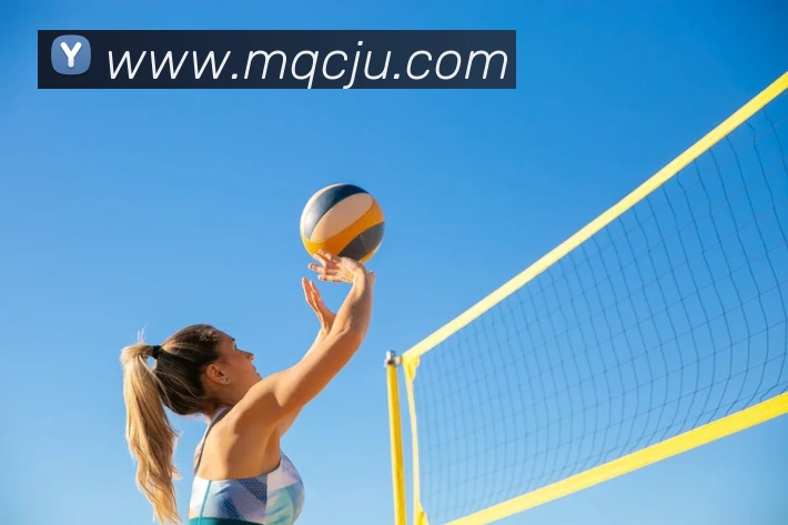 九游官方网站APP 封面图